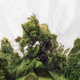 Illustration for article titled Reframe Roundup: This Week's Best Photography Posts